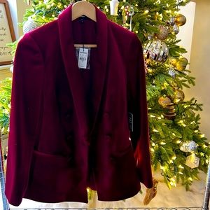 Express Ruby Velvet Blazer XS Women’s